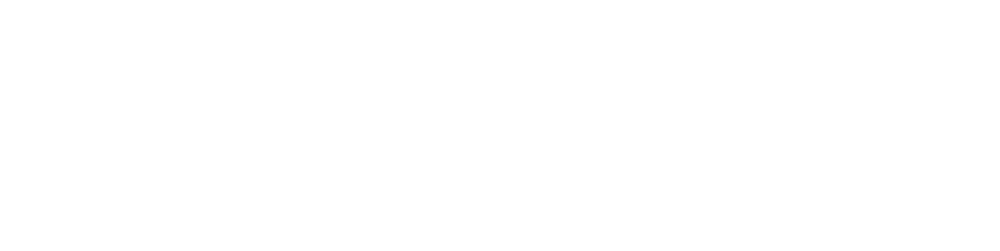 NowGo Logo NowGo Logo